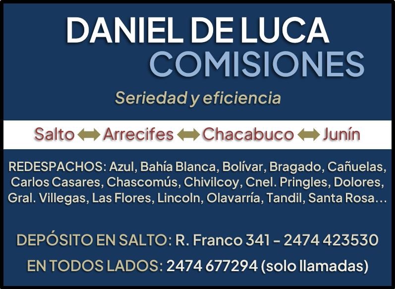 Daniel de Luca Comisiones