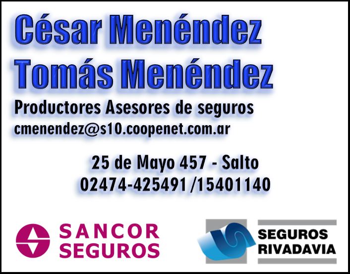 Menendez Seguros